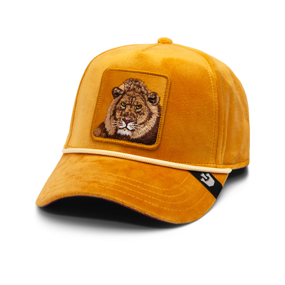 Lion Royalty